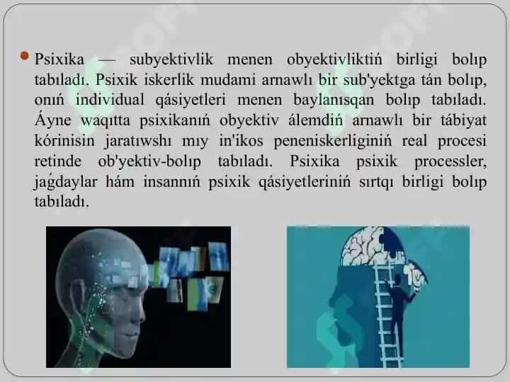 Psixik procesler hám miydiń óz ara baylanıslılıǵı. 5