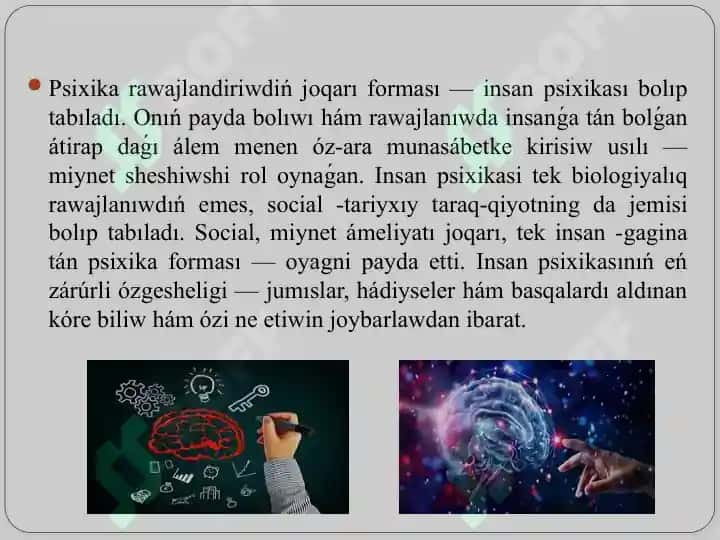 Psixik procesler hám miydiń óz ara baylanıslılıǵı. 6