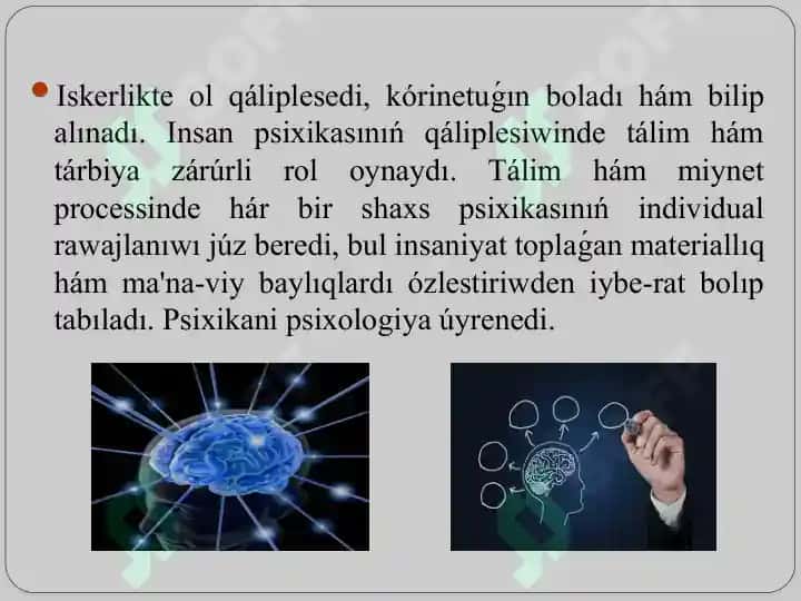 Psixik procesler hám miydiń óz ara baylanıslılıǵı. 8