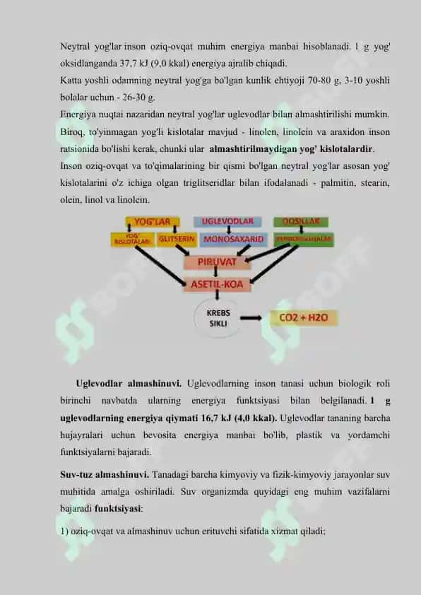 8. Modda va energiya almashinuvi. Referat 7 bet. 4