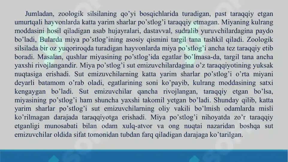 15. Oliy asab faoliyati. I.P.Pavlovning ta'limoti. Taqdimot, 18 bet 4