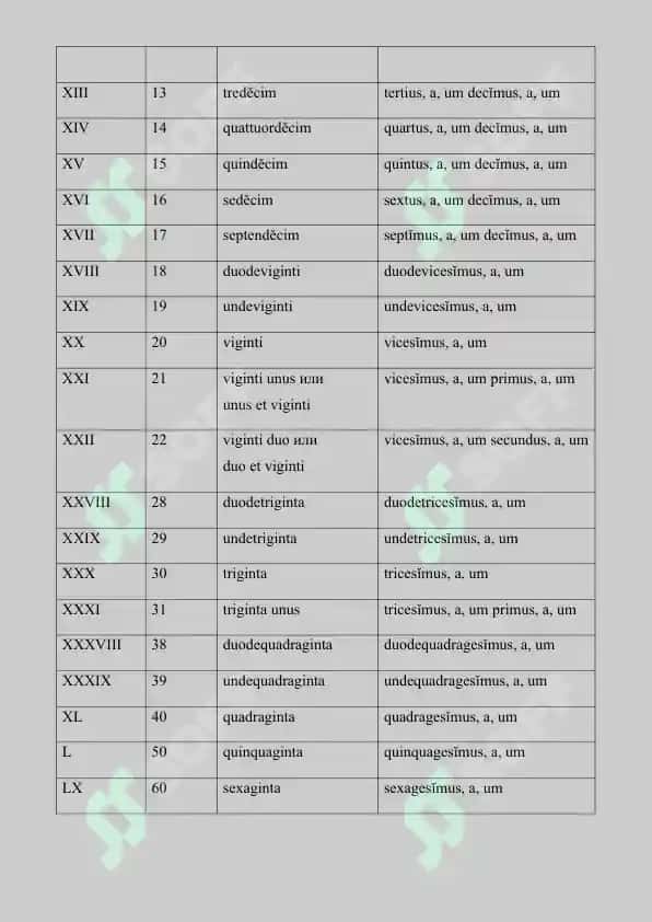4. Числительные.  Рефераты 8 лист. 2
