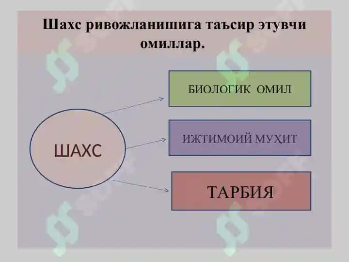 **Ташқи қиёфа, кон айланиши, олий нерв фаолияти кайси омил таъсирида шаклланади?** 2