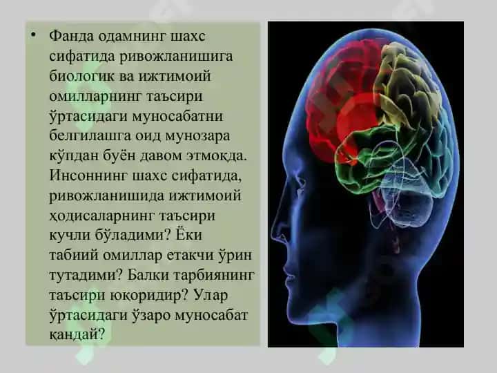 **Ташқи қиёфа, кон айланиши, олий нерв фаолияти кайси омил таъсирида шаклланади?** 3