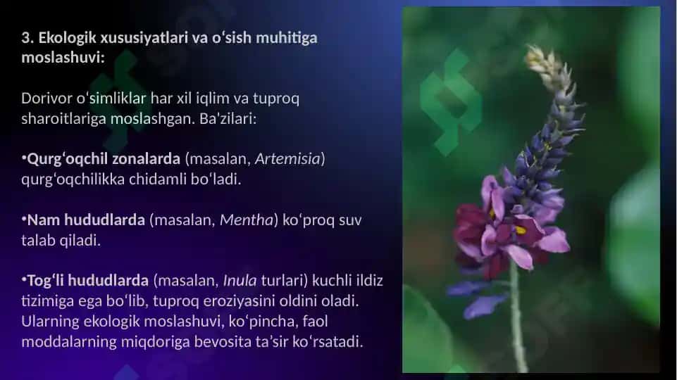Dorivor Oila Turkumlari 4