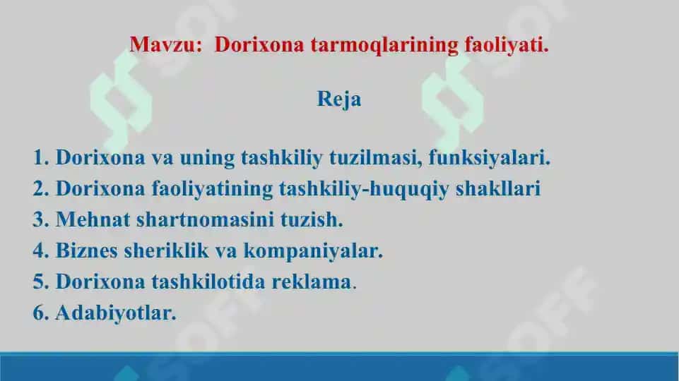 6. Dorixona tarmoqlarining faoliyati. Taqdimot 16 bet. 2