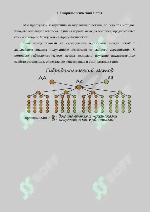 Основные методы генетики. Реферат 10 лист. 4