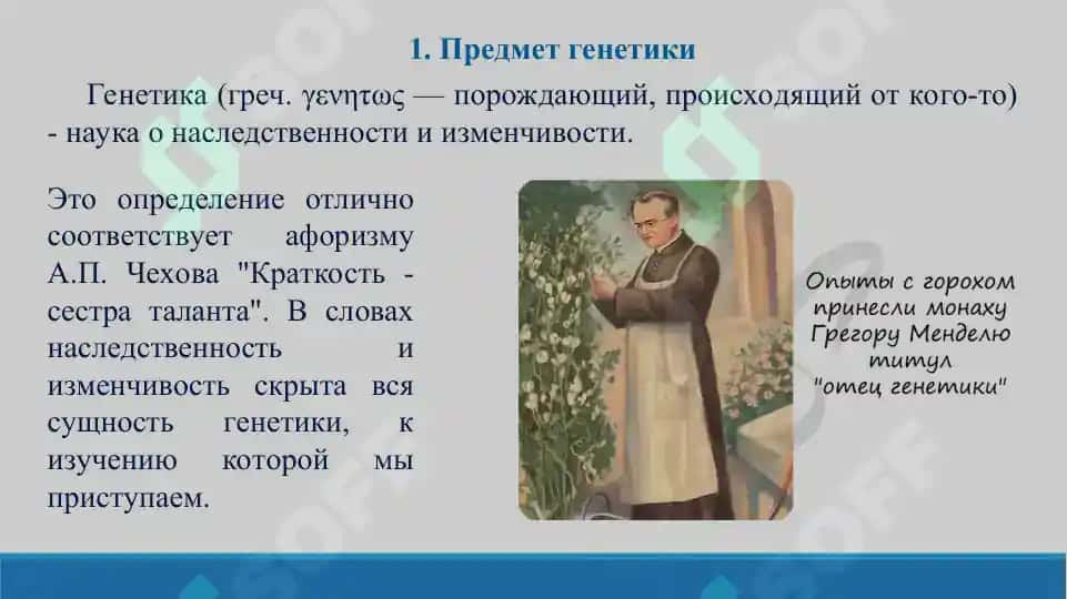 Основные методы генетики. Презентация 16 листов. 2