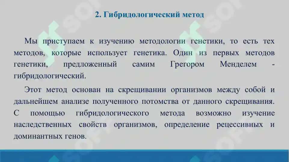 Основные методы генетики. Презентация 16 листов. 4