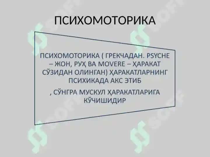 ИНСОН ПСИХОМОТОРИКАСИ ХАРАКТЕРИСТИКАСИНИ  АНИҚЛАШ 5