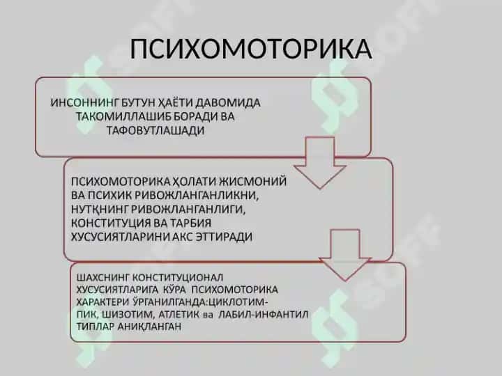 ИНСОН ПСИХОМОТОРИКАСИ ХАРАКТЕРИСТИКАСИНИ  АНИҚЛАШ 8