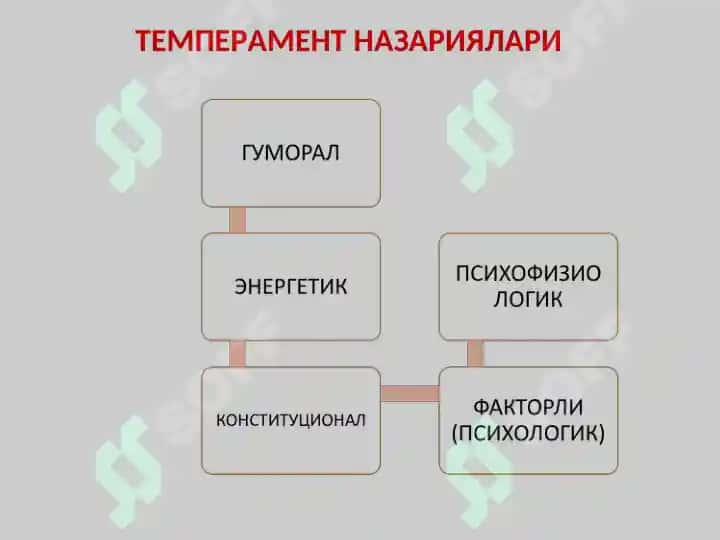 ТЕМПЕРАМЕНТ ВА АСАБ ТИЗИМИ ХУСУСИЯТЛАРИ ДИАГНОСТИКАСИ 5