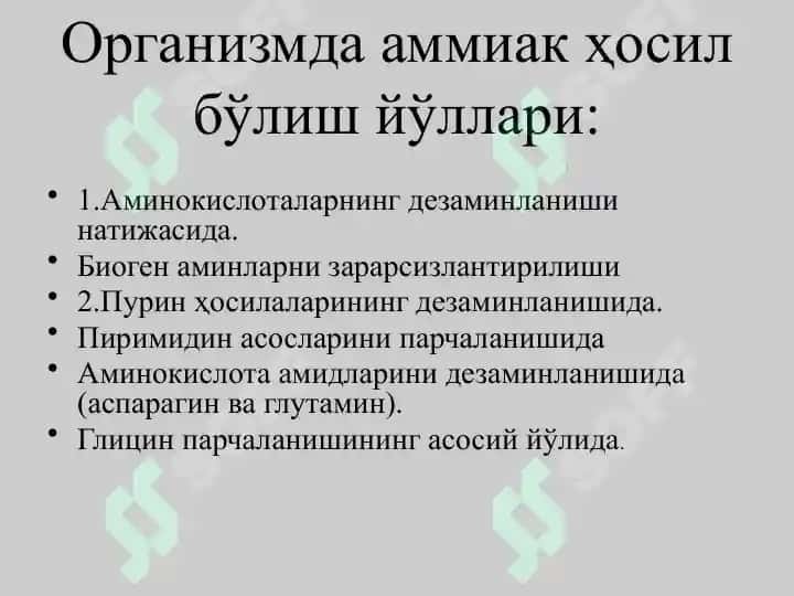 Ammikakni zararsizlantirilishi. Aminokislotalar almashinuvining hususiy yo’llari 2