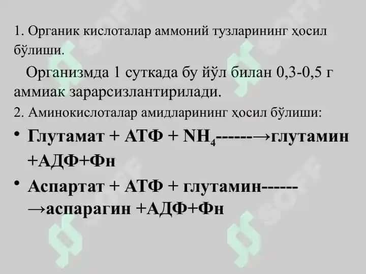 Ammikakni zararsizlantirilishi. Aminokislotalar almashinuvining hususiy yo’llari 5