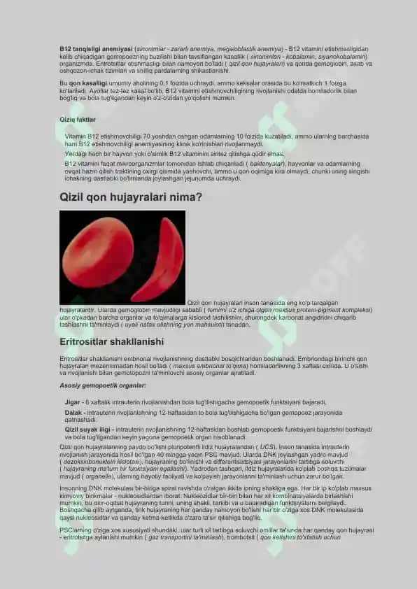 B12 yetishmovchiligi anemiyasi 2