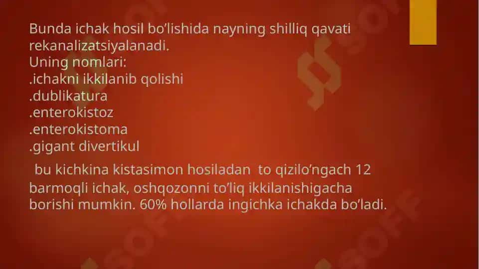 Ichak dublikatsiyasi 3