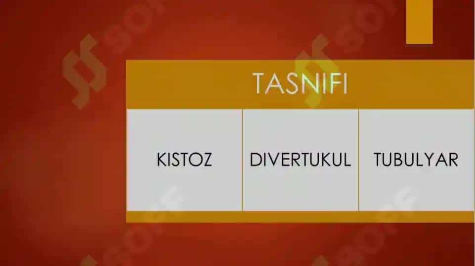 Ichak dublikatsiyasi 4