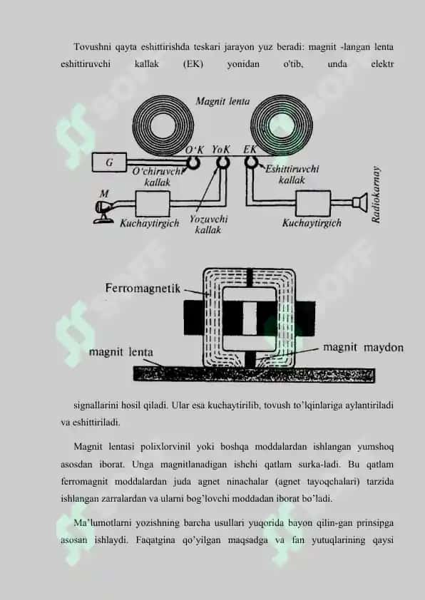 Qattiq jismlarning magnitlanishi, Ferromagnitlar, Paramagnitiklar, Diamagnitiklar 4