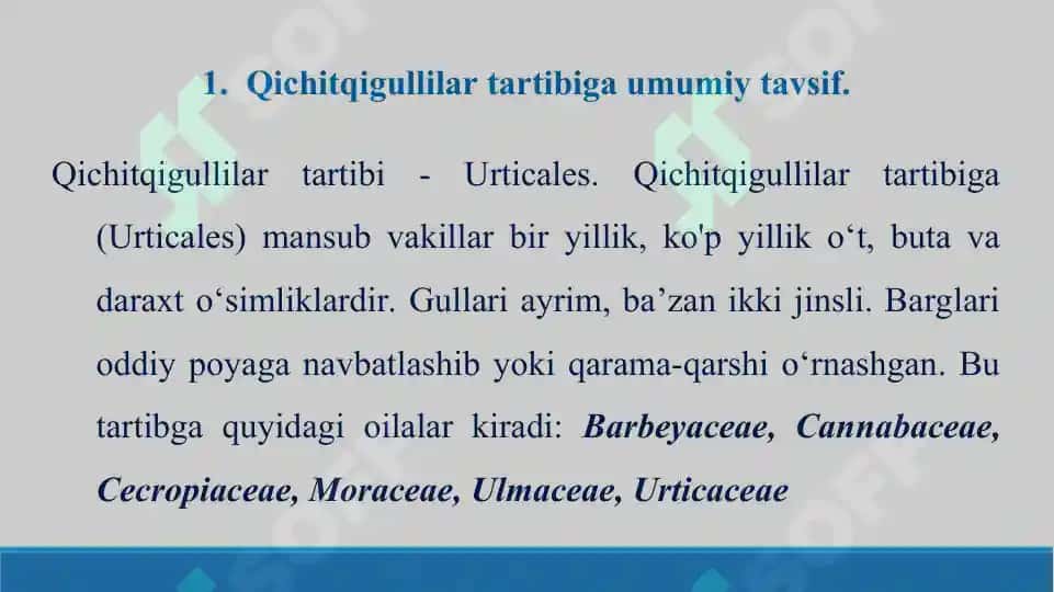 Qichitqigullilar tartibi, qichitqidoshlar va nashadoshlar oilalarining vakillari, tuzilishi va ahamiyati. Taqdimot, 16 bet 3
