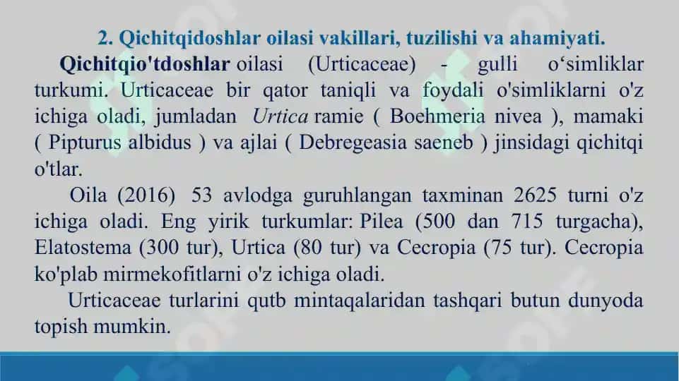 Qichitqigullilar tartibi, qichitqidoshlar va nashadoshlar oilalarining vakillari, tuzilishi va ahamiyati. Taqdimot, 16 bet 4