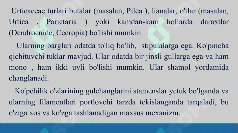 Qichitqigullilar tartibi, qichitqidoshlar va nashadoshlar oilalarining vakillari, tuzilishi va ahamiyati. Taqdimot, 16 bet 7