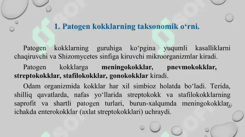 Yiringli yallig'lanish kasalliklarni keltirib chiqaruvchi mikroorganizmlar meningokokklar, pnevmokokklar keltirib chiqaradigan kasalliklarning laboratoriya tashxisi. Sifatli taqdimot 24 bet. 3