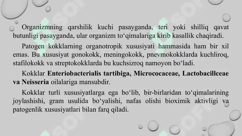 Yiringli yallig'lanish kasalliklarni keltirib chiqaruvchi mikroorganizmlar meningokokklar, pnevmokokklar keltirib chiqaradigan kasalliklarning laboratoriya tashxisi. Sifatli taqdimot 24 bet. 5