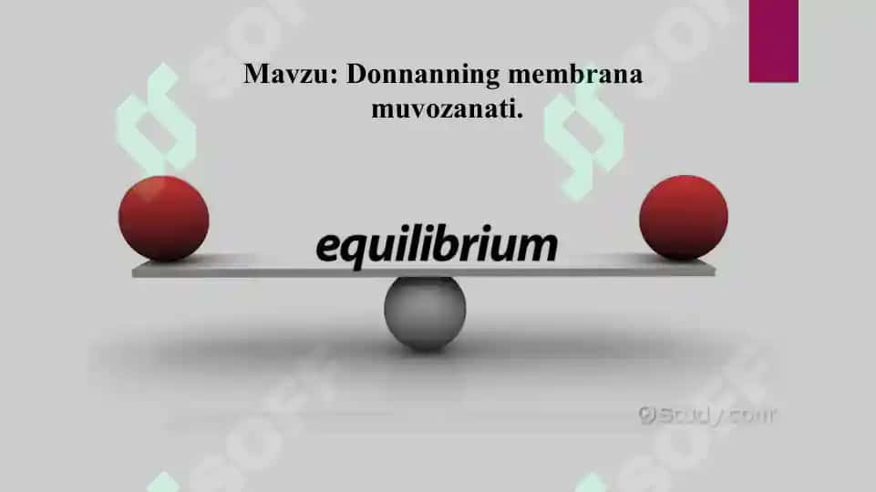 17. Donnanning membrana muvozanati. Taqdimot 16 bet. 2