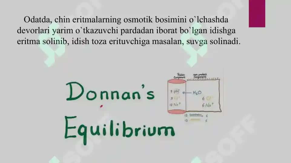 17. Donnanning membrana muvozanati. Taqdimot 16 bet. 3