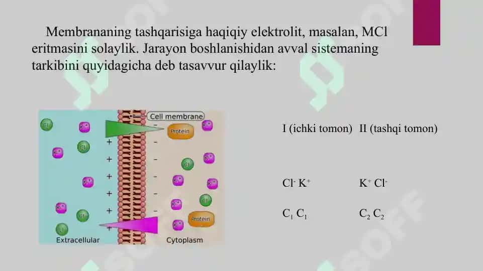 17. Donnanning membrana muvozanati. Taqdimot 16 bet. 7
