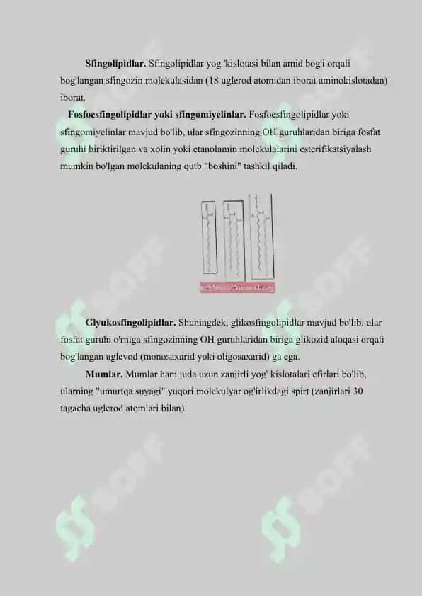 Sovunlanadigan lipidlar.  Yog’larning xossalari. Referat 17 bet 8