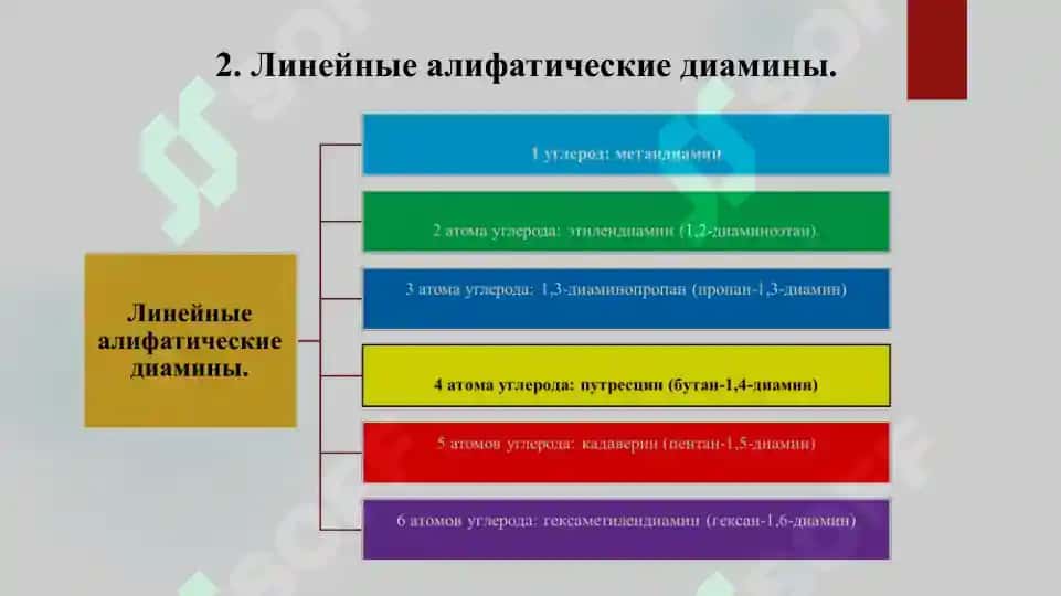 Диамины  Путрецин. Кадаверин. Презентация 16 страница 5