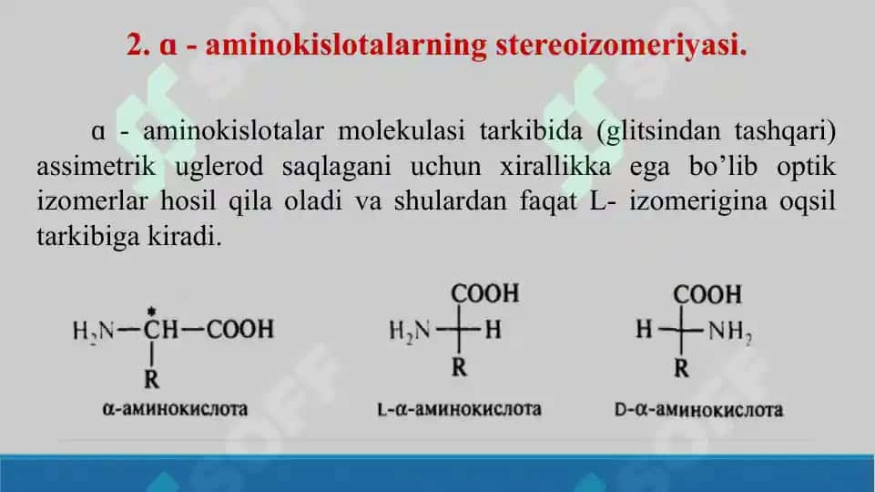 Aminokislotalarning stereoizomeriyasi, olinish usullari. Kislota amidlari va ureidlari. Taqdimot 26 bet 6