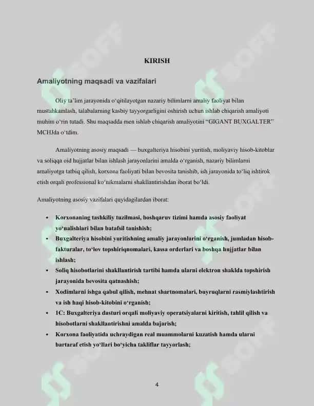 AMALIYOT HISOBOTI. 1	Tashkilot nomi	"GIGANT BUXGALTER" MCHJ 4