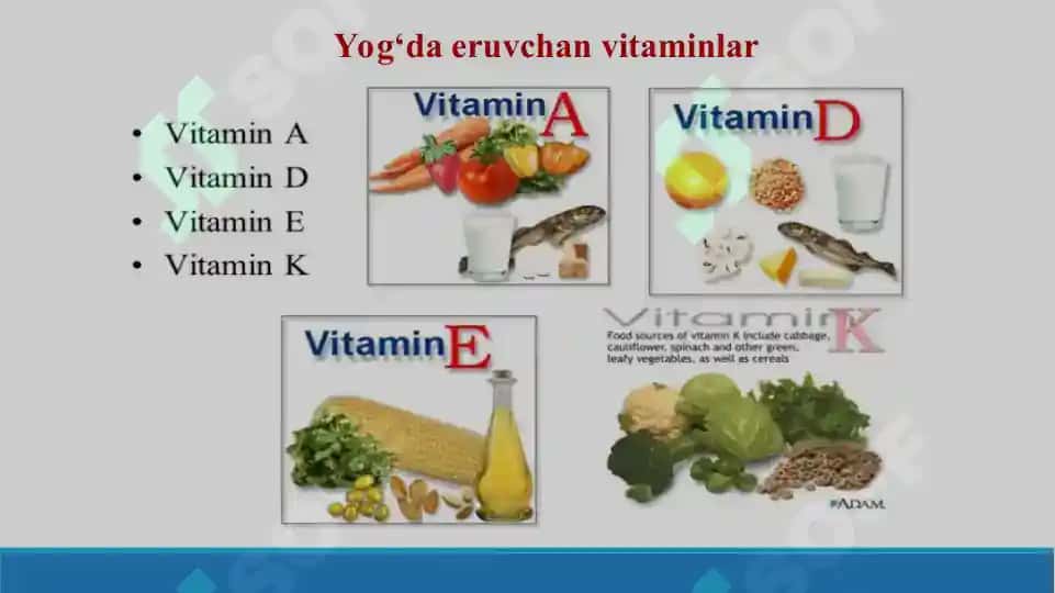 Vitaminlarning kimyoviy tasnifi va ularni sinteziga ta'sirv etuvchi omillar. Taqdimot. 19 bet. 8