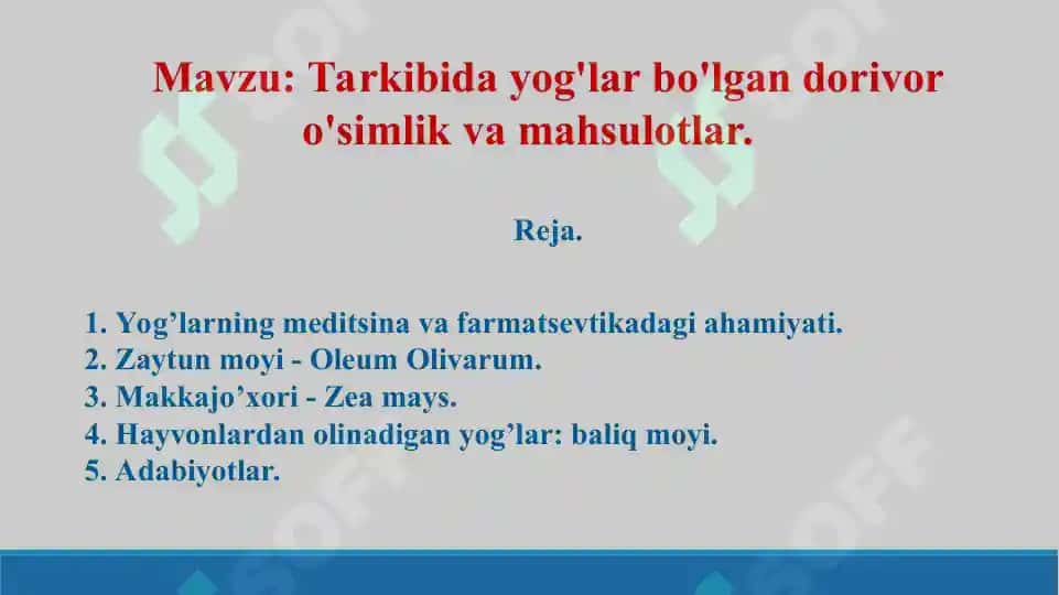 Tarkibida yog'lar bo'lgan dorivor o'simlik va mahsulotlar. Taqdimot 15 bet. 2