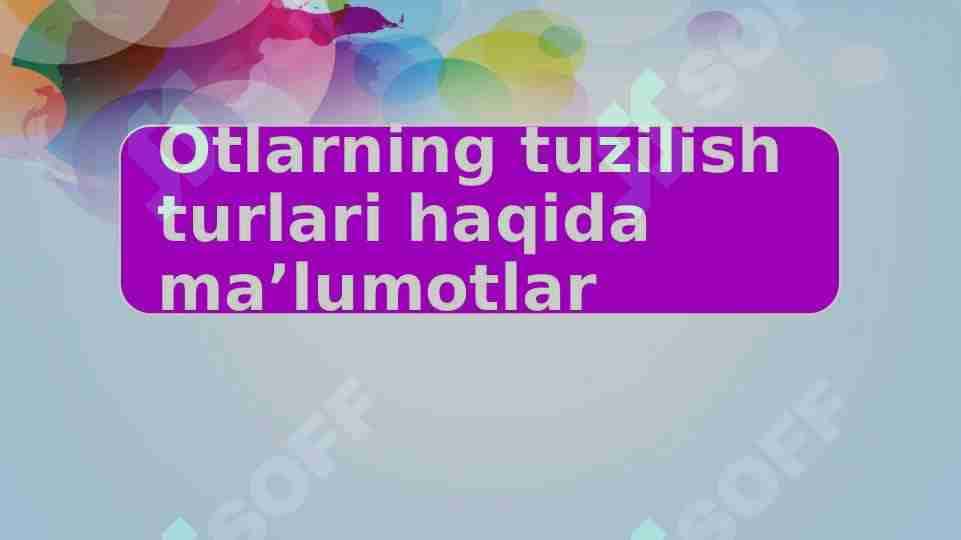 Otlarning tuzilish turlari haqida ma’lumotlar