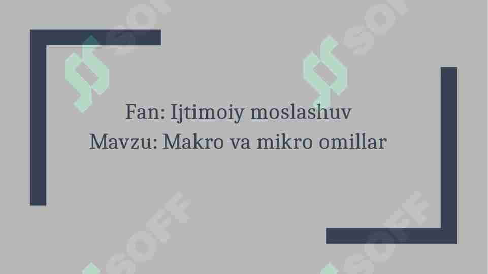 Mikro va makro omillar slayd