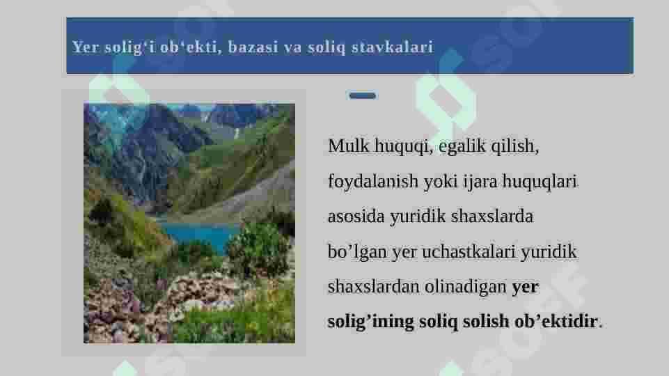 Yuridik shaxslardan olinadigan yer solig'i. 8