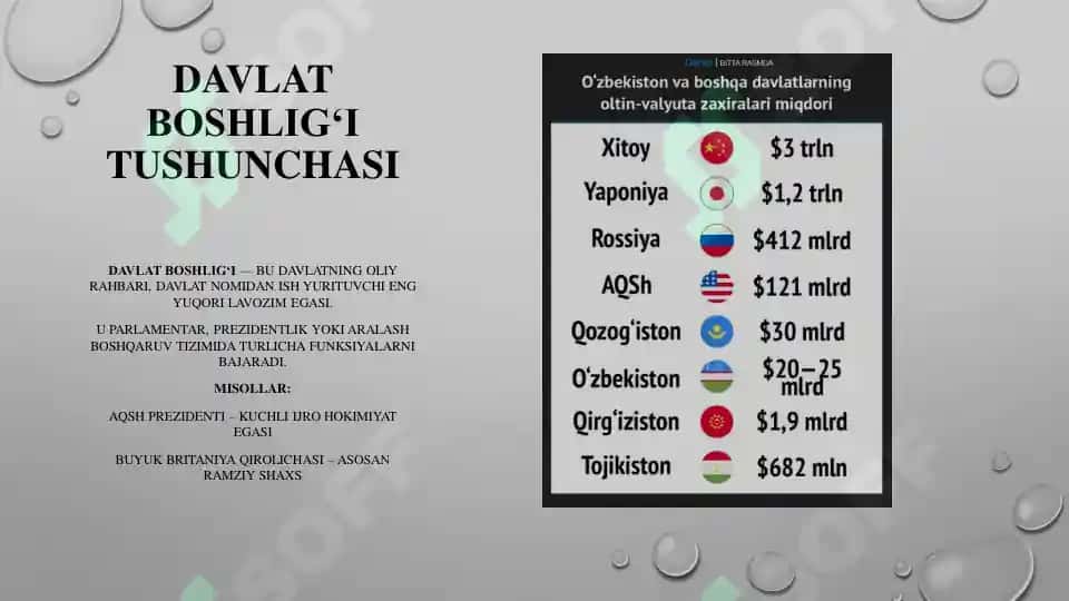 Davlat boshlig’ining xorijiy davlatlar davlat mexanizmida tutgan o‘rni 4