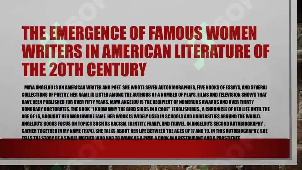 Women writers in American literature of the XX century 4
