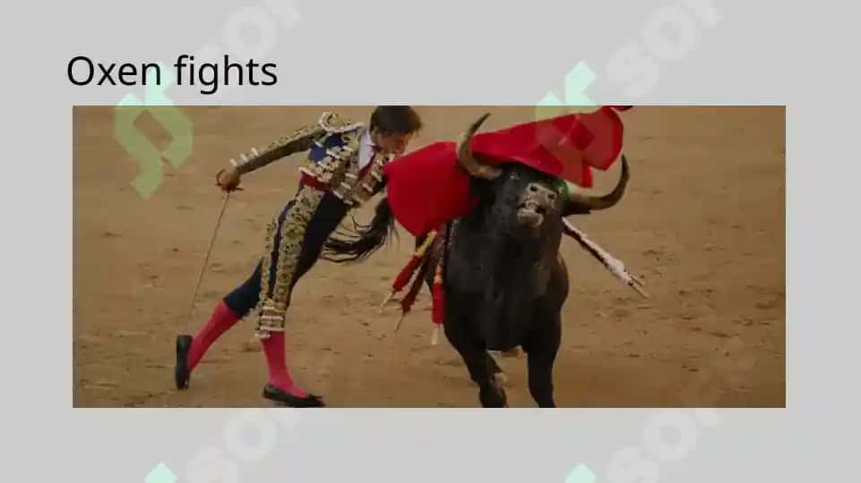 Culture of the Spain 2