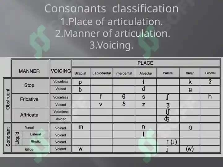 Classification of consonants 6