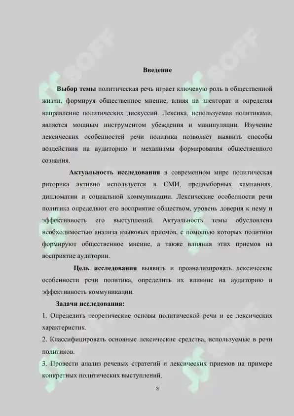Лексические особенности речи политика 2