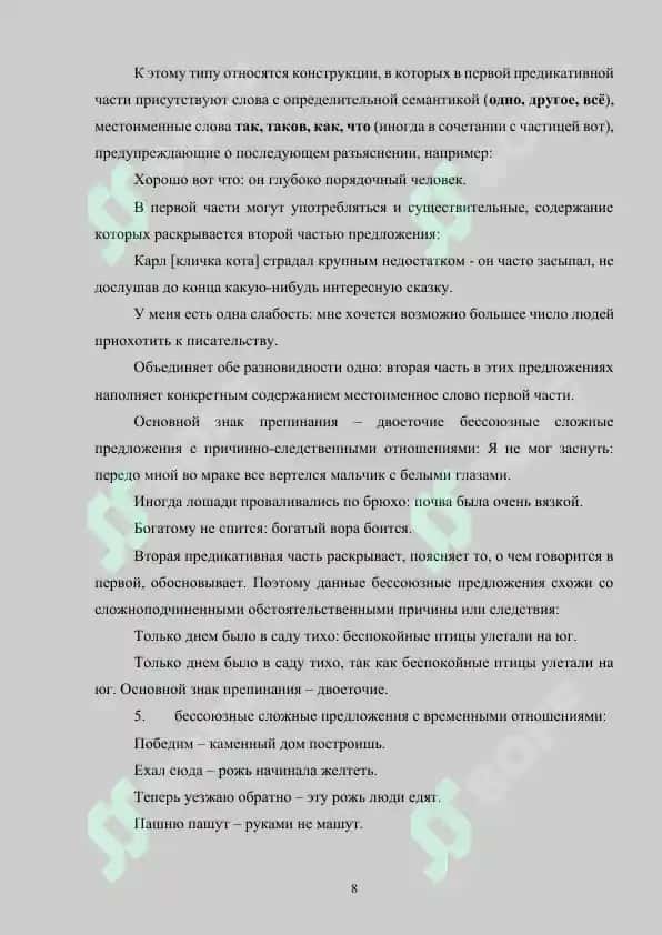 Двоеточие в бессоюзных сложных предложениях 8