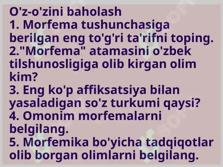 Morfem-morfologik sath 5