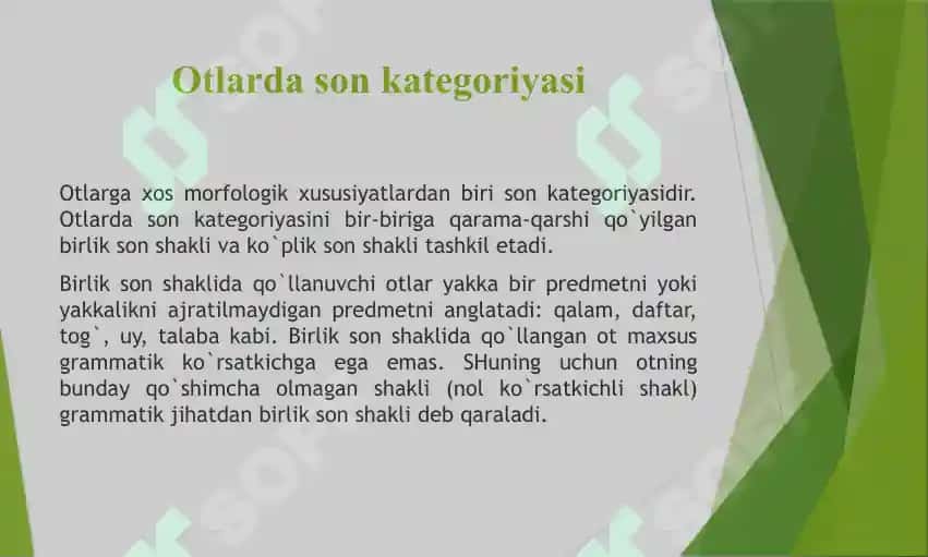 Otlardagi Son Kategoriyasi. Otlarning Nokategorial Shakllari 4