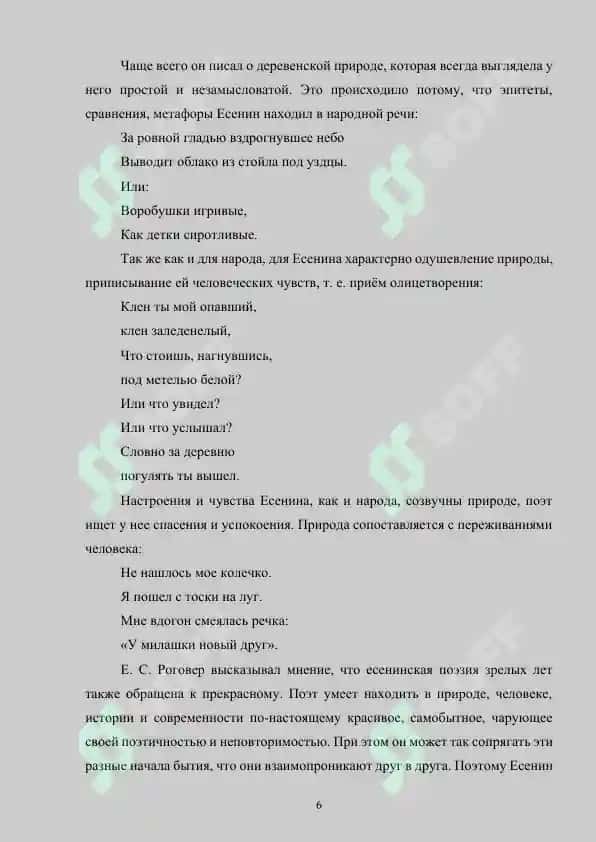 Языковые особенности лирики С.Есинина 6