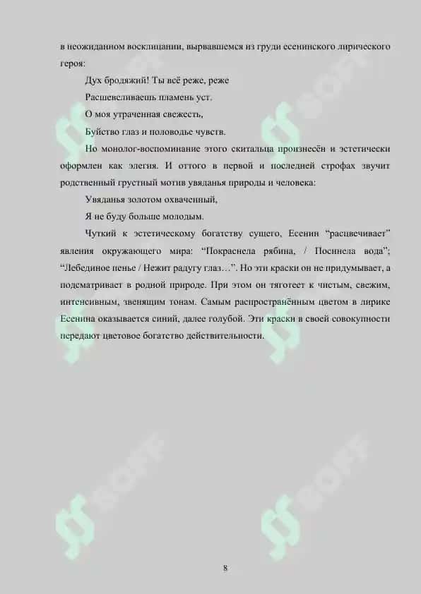 Языковые особенности лирики С.Есинина 8