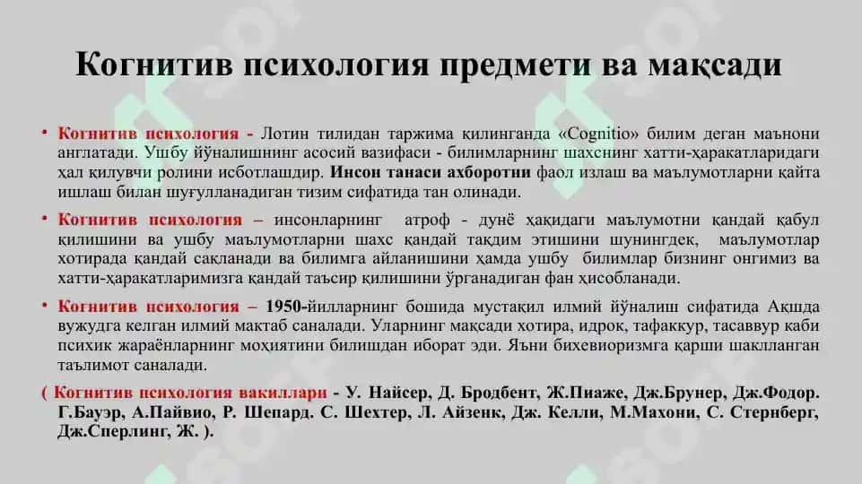 Kognitiv psixologiya 2